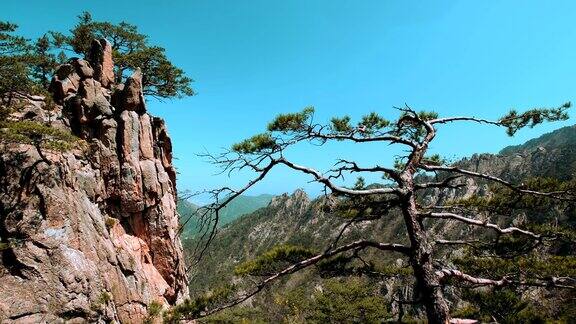 树与悬崖雪山国家公园韩国