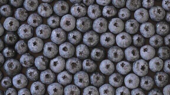 蓝莓背景旋转成熟的生蓝莓的收获