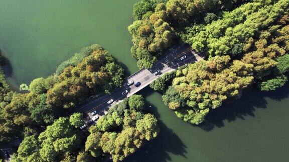 通过湖泊和树木区域的道路鸟瞰图