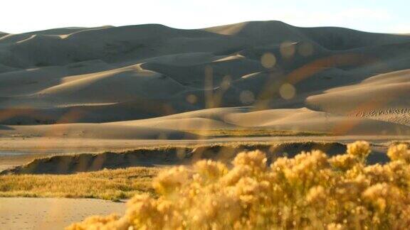 4K机架对焦小车移动拍摄沙丘地沙漠地沙灌木草沙丘
