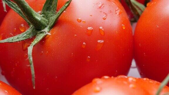 多汁的红色番茄蔬菜藤蔓4K