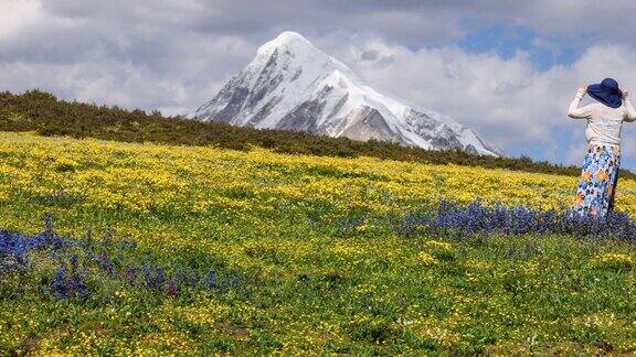 川西雪山花海