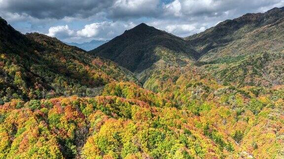 秋天的光武山五彩缤纷