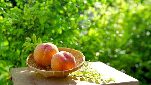 新鲜的金桃水果在模糊的背景蜂蜜黄桃竹篮在花园里木桌