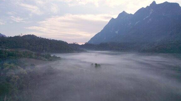 山脉与雾蒙蒙的山谷在热带雨林