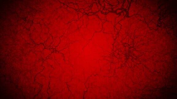 人体血管的三维循环动画毛细血管红色背景上的眼血解剖背景医学概念