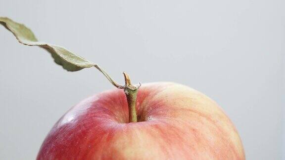 特写新鲜的红苹果水果与绿色的叶子4K
