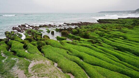 白色的波浪冲刷着长满苔藓的棕色岩石探索令人惊叹的海岸景观