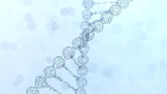 一个旋转丛DNA链的组装和散射-浅蓝色版本