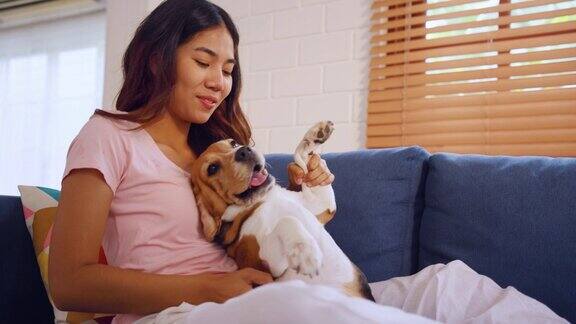 亚洲美女在家里的客厅里和她的小猎犬玩耍美丽的年轻女主人心情愉快放松享受与她可爱的宠物小狗一起在家里度过自由的闲暇时光