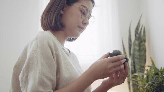 一名年轻女子正在整理仙人掌花盆