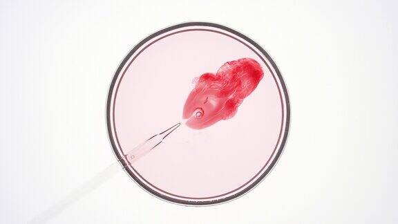 化学滴管将红色液体注入培养皿中的粉色液体中