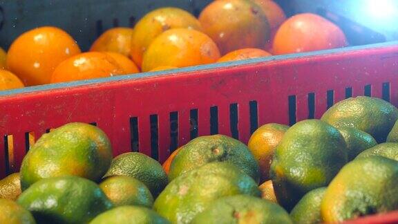 异国水果和蔬菜拉丁市场