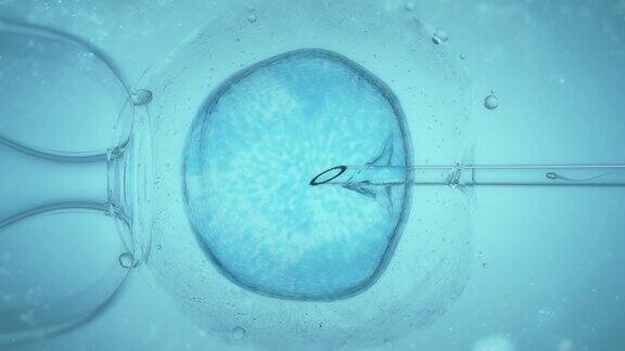 试管婴儿通过显微镜进行体外受精医学特写4K