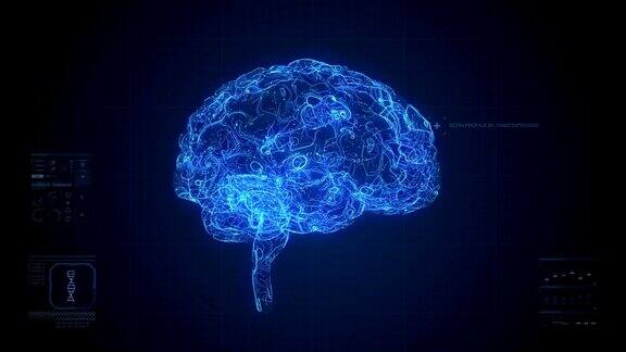 脑部扫描动画