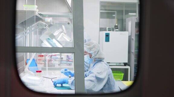 女性在实验室工作人们在实验室里进行科学研究