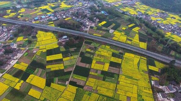 鸟瞰中国四川乡村景观与油菜籽田和高速公路交通4k