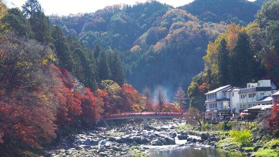 日本爱知县红桥上人头攒动彩绘秋叶