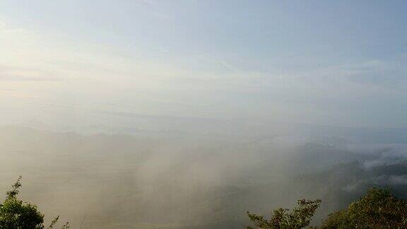 雾吹过森林和山脉背景