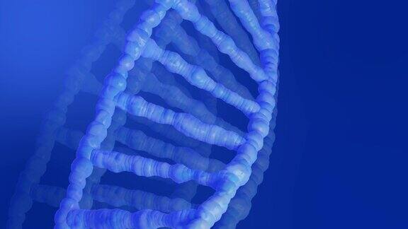 高分辨率3D视频上面的DNA和RNA链在运动