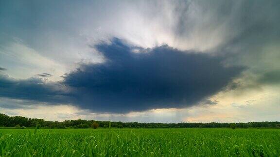 青麦发芽的农田春天的景色戏剧性的天空与雷云