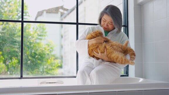 亚洲老年妇女在家里快乐地与家猫玩耍成熟的年长女主人坐在浴缸里在卧室里和她的宠物一起度过闲暇时光感到快乐和放松