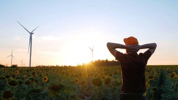 年轻人在橙色的帽子在黄色的向日葵田与风力涡轮机农场上日落景观游客在乡村傍晚看花看天空本地旅游生态绿色能源理念