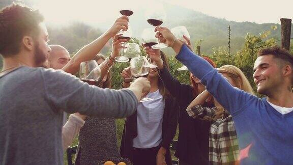 一群朋友在葡萄园里举杯畅饮