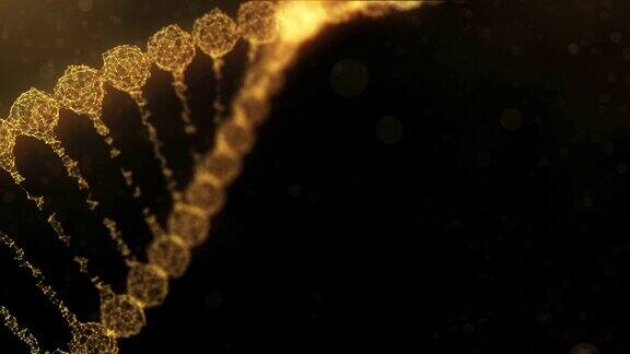 旋转的神经丛DNA链与脉冲运行-金橙色版本