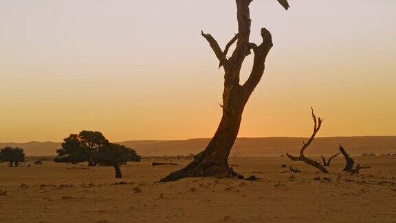 MS的剪影在宁静的沙漠日落纳米比亚非洲