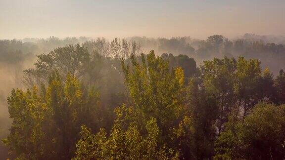 HL穆尔河在晨雾中