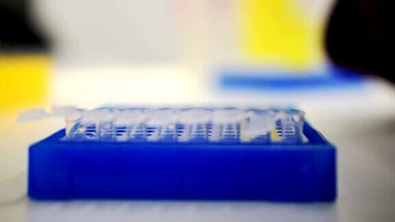 实验室测试板血液或dna的医学测试癌症或病毒检测