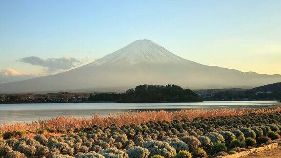 日本富士山