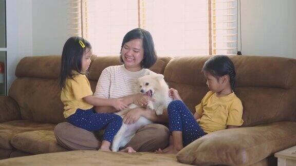亚洲家庭喜欢在客厅里和他们的狗玩