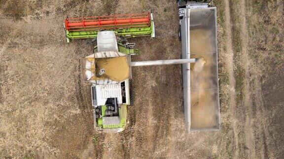 在大的成熟麦田收割季节联合收割机在货物拖车上卸载谷物的鸟瞰图农业与农产品原料运输