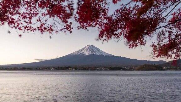 富士山的秋叶向上翘起