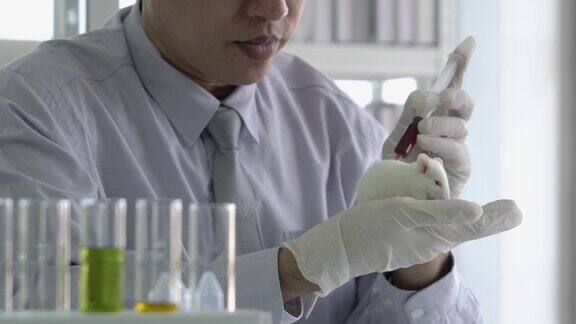 在现代医学中心使用化学实验动物的科学家实验用大鼠科学的理念测试注射开发和实验室工业