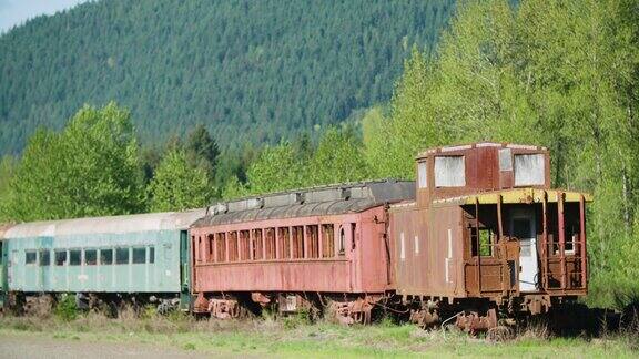 废弃在乡村树林里的旧火车车厢