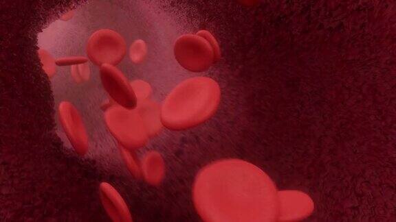 血液细胞在动脉中流动