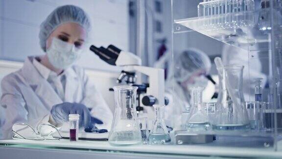 实验室小组处理有害生物样本使用显微镜