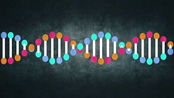 遗传DNA结构
