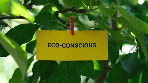 一张写着“生态意识”的纸条用衣夹夹在树上