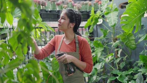 亚洲女性在家照顾植物平衡生活和小生意