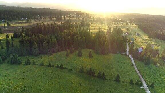 Zabljak黑山在日出时飞过杜尔米托国家公园的常绿森林空中射击UHD