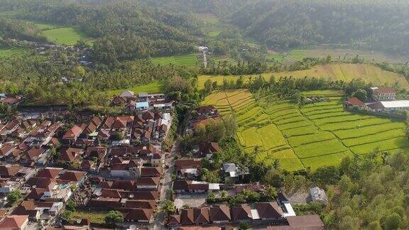 热带景观与农业土地在印度尼西亚