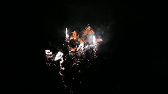 五颜六色的烟花在海边的夜空中爆炸