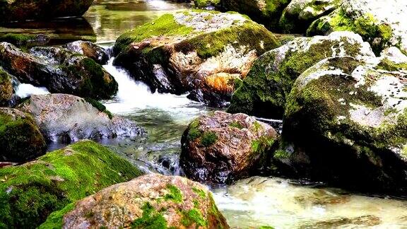 在苔藓覆盖的岩石间流动的小溪