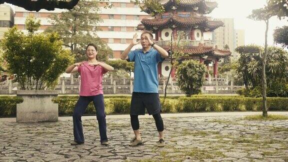 两个活跃的中国老年人在公园里打太极