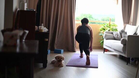 一位亚裔中国中年女性在家里练习瑜伽她的玩具贵宾犬在旁边等着