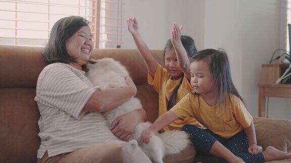 亚洲家庭喜欢在客厅里和他们的狗玩